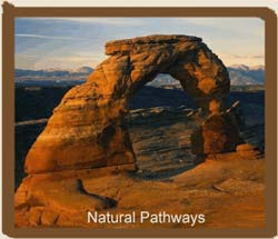 Natural Pathways